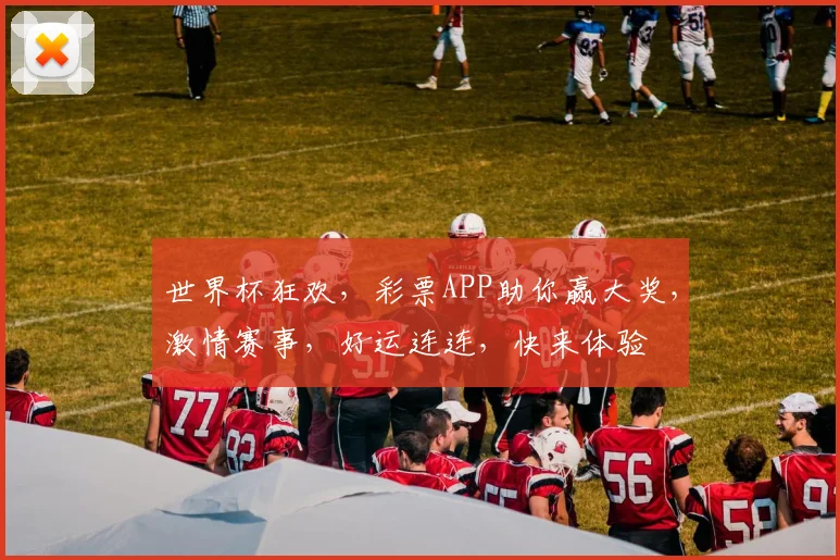 世界杯狂欢，彩票APP助你赢大奖，激情赛事，好运连连，快来体验